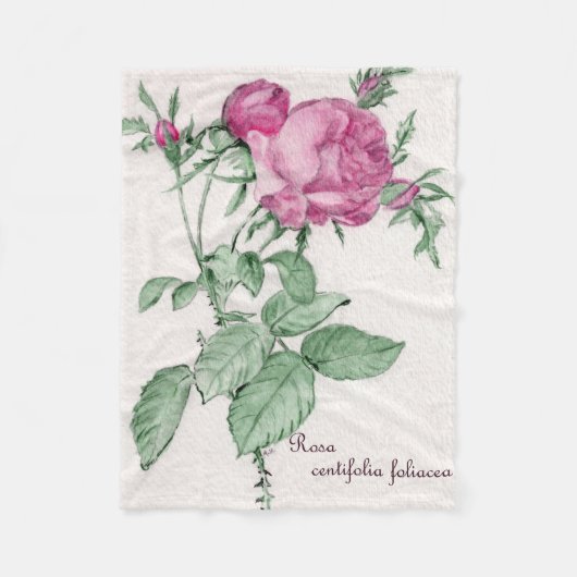 Rosa Centifolia Foliacea Throw Blanket Fleece Deken (Voorkant)