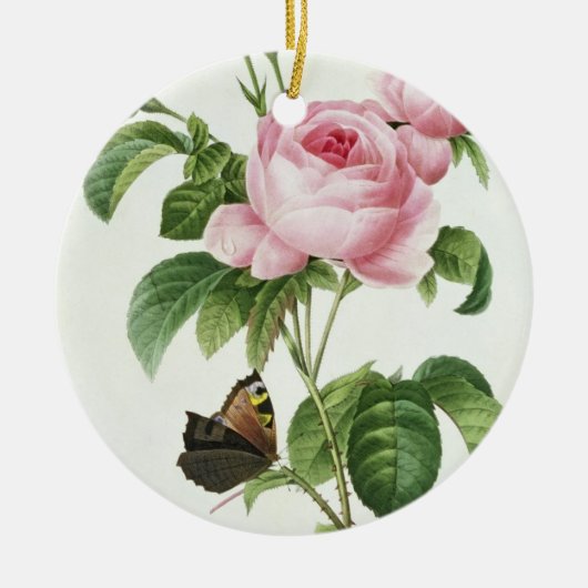 Rosa Centifolia Keramisch Ornament (Voorkant)