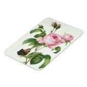 Rosa Centifolia Magneet (Linkerzijde)