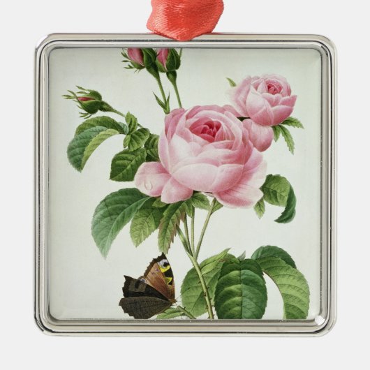 Rosa Centifolia Metalen Ornament (Voorkant)