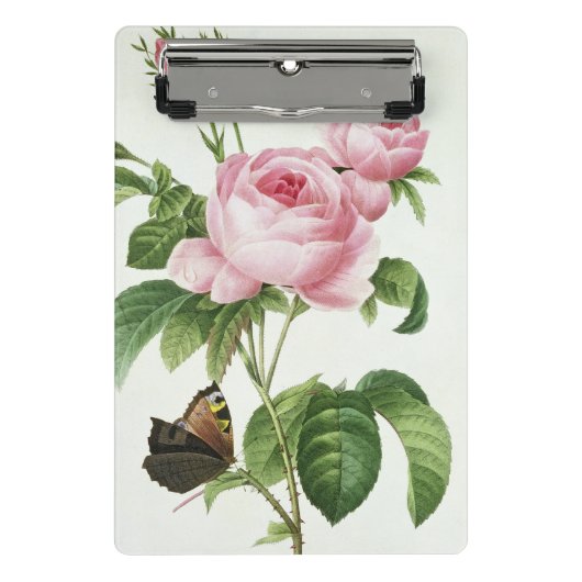 Rosa Centifolia Mini Klembord (Voorkant)