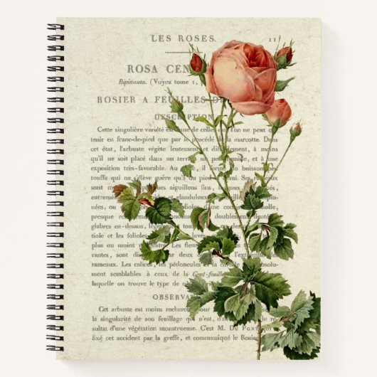 Rosa Centifolia Notitieboek - Elegant Floral Gift (Voorkant)