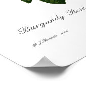 Rosa centifolia parvifolia poster (Hoek)