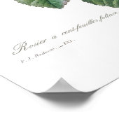 Rosa centifolia poster (Hoek)