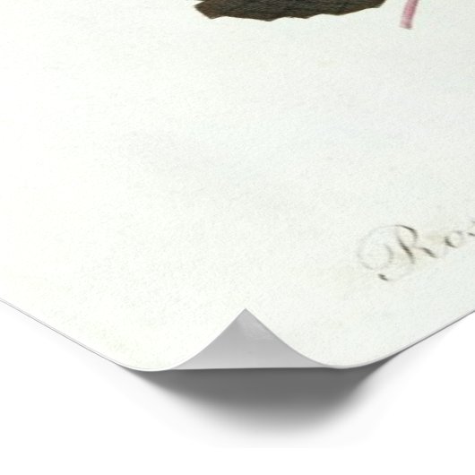 Rosa Centifolia Poster (Hoek)