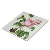 Rosa Centifolia Tegeltje (Zijkant)