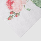 Rosa centifolia tissuepapier (Detail)