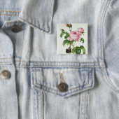 Rosa Centifolia Vierkante Button 5,1 Cm (In situ)