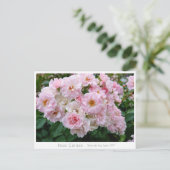 Rosa Cerezo Briefkaart (Staand voorkant)