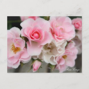Rosa Cerezo Briefkaart