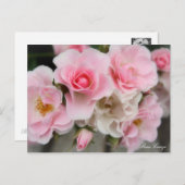 Rosa Cerezo Briefkaart (Voorkant / Achterkant)