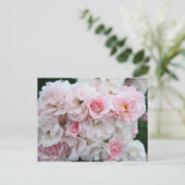 Rosa Cerezo [Briefkaart] Briefkaart (Staand voorkant)