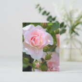 Rosa Cerezo [Briefkaart] Briefkaart (Staand voorkant)