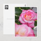 Rosa Climbing Minuette Briefkaart (Voorkant / Achterkant)
