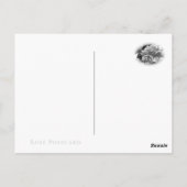 Rosa Climbing Peace Briefkaart (Achterkant)