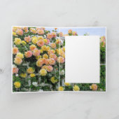 Rosa Climbing Peace Kaart (Binnen)