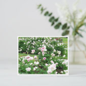 Rosa Clotilde Soupert:Briefkaart Briefkaart (Staand voorkant)