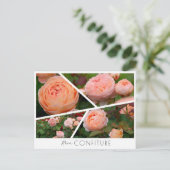 Rosa Confiture Briefkaart (Staand voorkant)