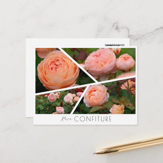 Rosa Confiture Briefkaart (Voorkant / Achterkant in situ)