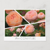 Rosa Confiture Briefkaart (Voorkant)
