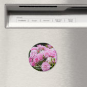 Rosa Cotillion Magneet (Insitu (Vaatwasser))