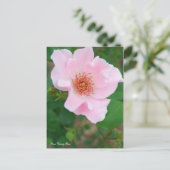 Rosa Dainty Bess [Briefkaart] Briefkaart (Staand voorkant)