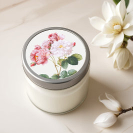 Rosa Damascena,  bloemen Ronde Sticker