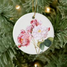 Rosa Damascena , boom