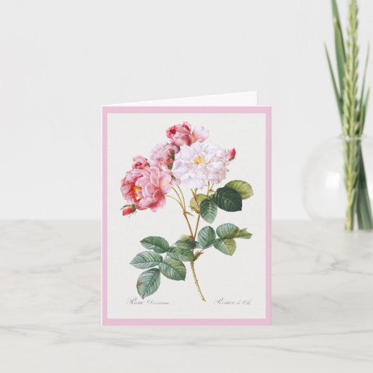 Rosa Damascena, Happy Birthday Kaart (Voorkant)