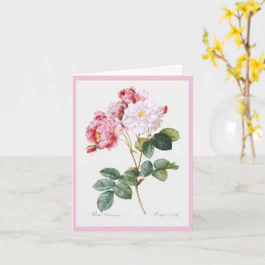 Rosa Damascena, Happy Birthday Kaart (Gele Bloem)