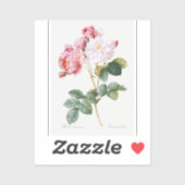 Rosa Damascena Sticker (Vel)