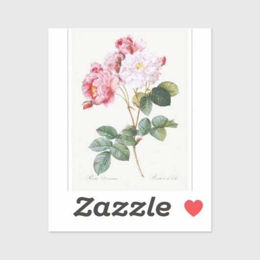 Rosa Damascena Sticker (Vel)