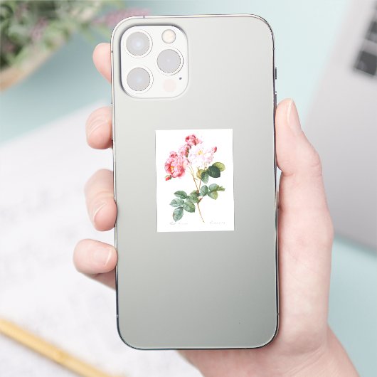 Rosa Damascena Sticker (Telefoon)