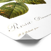 Rosa damascena variegata poster (Hoek)