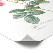 Rosa Damascena Vintage Floral Pink Roses Poster (Hoek)