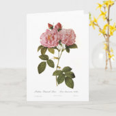 Rosa damascenaitalica kaart (Gele Bloem)
