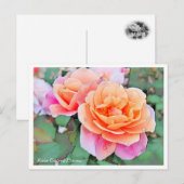 Rosa Distant Drums Briefkaart (Voorkant / Achterkant)