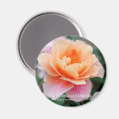 Rosa Distant Drums Magneet (Voorkant / Achterkant)