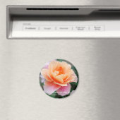 Rosa Distant Drums Magneet (Insitu (Vaatwasser))