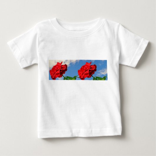 Rosa Don Juan met een blauwe lucht (Voorkant)