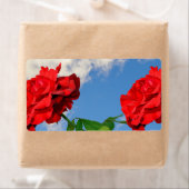 Rosa Don Juan met een blauwe lucht Etiket (Insitu)