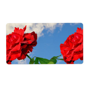 Rosa Don Juan met een blauwe lucht Etiket