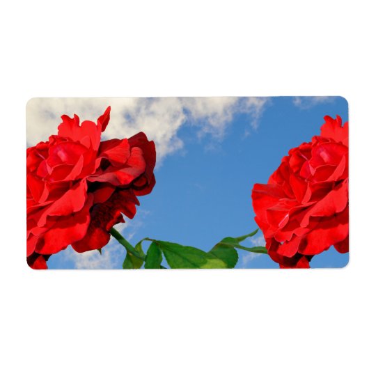 Rosa Don Juan met een blauwe lucht Etiket (Voorkant)