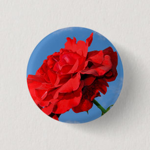 Rosa Don Juan roos met een blauwe lucht Ronde Button 3,2 Cm