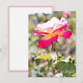 Rosa Double Delight: Flat Card (Voorkant / Achterkant)