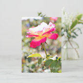 Rosa Double Delight: Flat Card (Staand voorkant)