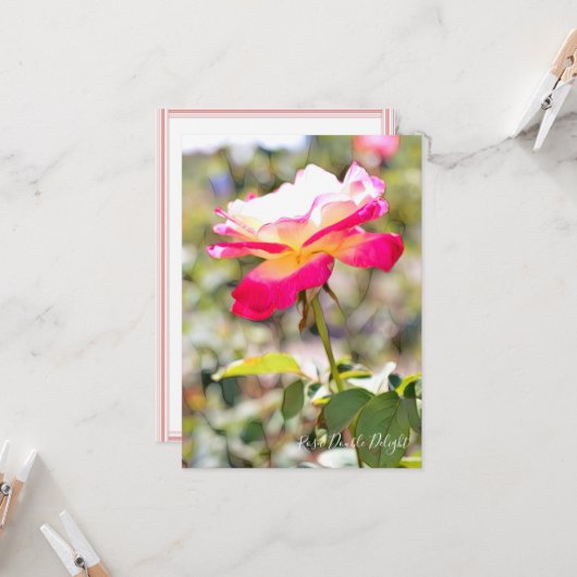 Rosa Double Delight: Flat Card (Voorkant / Achterkant in situ)
