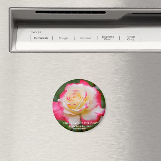 Rosa Double Delight Magneet (Insitu (Vaatwasser))