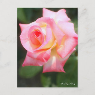Rosa Elegant Lady (Briefkaart) Briefkaart