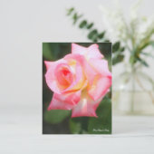 Rosa Elegant Lady (Briefkaart) Briefkaart (Staand voorkant)